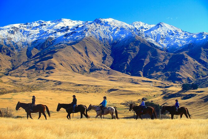 Cardrona High Country Pub Trail Horse Trek (Intermediate level+) - Why this Cardrona ride is different