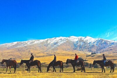 Cardrona High Country Pub Trail Horse Trek (Intermediate level+)