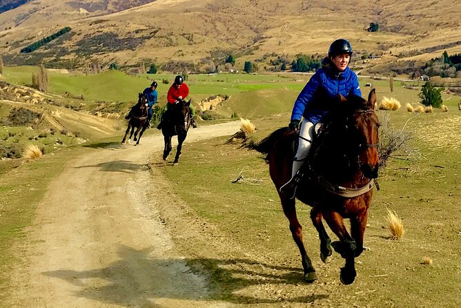 Cardrona High Country Pub Trail Horse Trek (Intermediate level+) - Guides who shape the experience