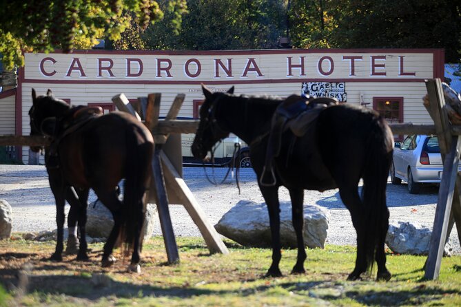 Cardrona High Country Pub Trail Horse Trek (Intermediate level+) - What to wear and what to expect physically