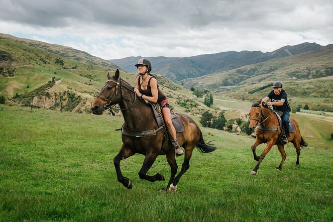 Cardrona High Country Pub Trail Horse Trek (Intermediate level+) - Is the NZ$433.78 price good value?