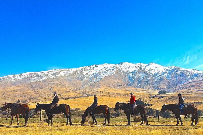 Cardrona High Country Pub Trail Horse Trek (Intermediate level+) - Choosing the right horse and riding level
