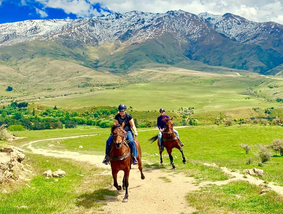 Cardrona Valley: Horse Trekking Experience - Why Cardrona Valley works so well on horseback
