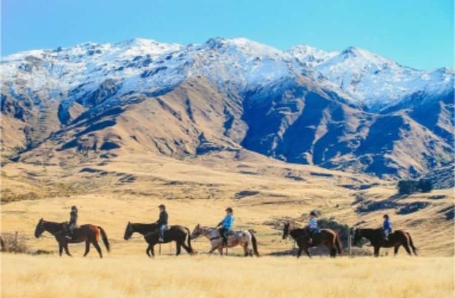Cardrona Valley: Horse Trekking Experience - What the guides add to the ride
