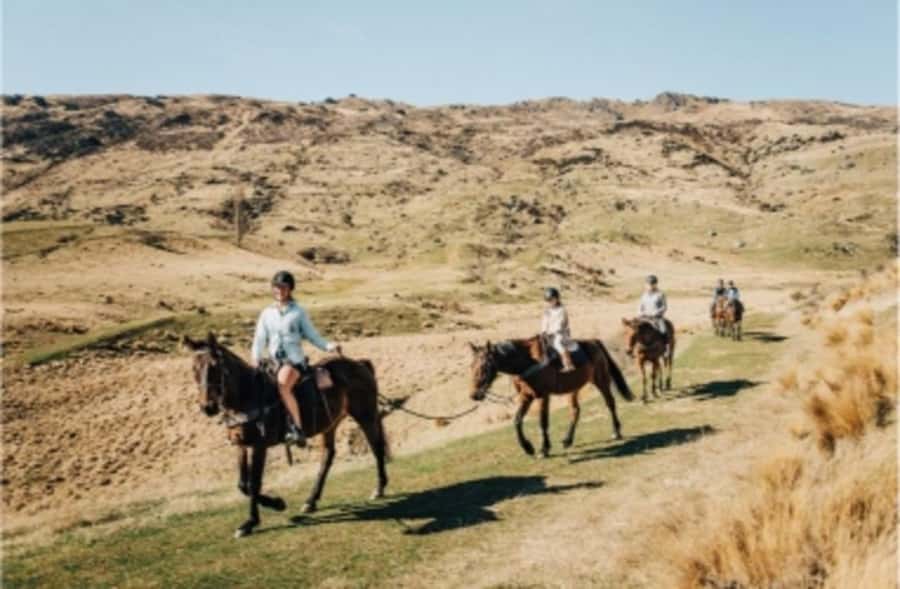 Cardrona Valley: Horse Trekking Experience - Scenic value, without rushing past it