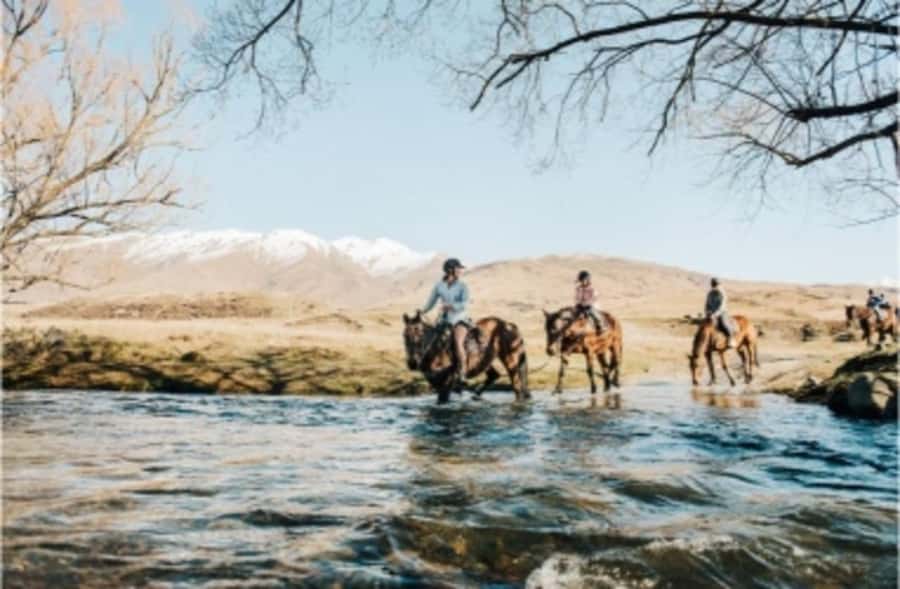 Cardrona Valley: Horse Trekking Experience - Practical details that can save you trouble