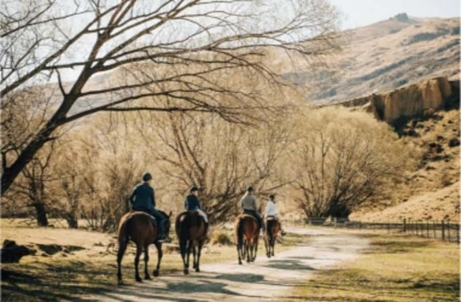 Cardrona Valley: Horse Trekking Experience - The lesson that sets the tone