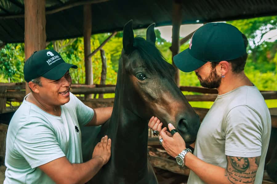 Cartagena: Beach Horse Ride and Colombian Equestrian Culture - What makes this Cartagena horse ride special
