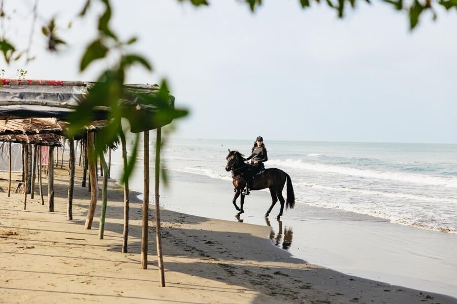 Cartagena: Beach Horse Ride and Colombian Equestrian Culture - Practical advice before you book