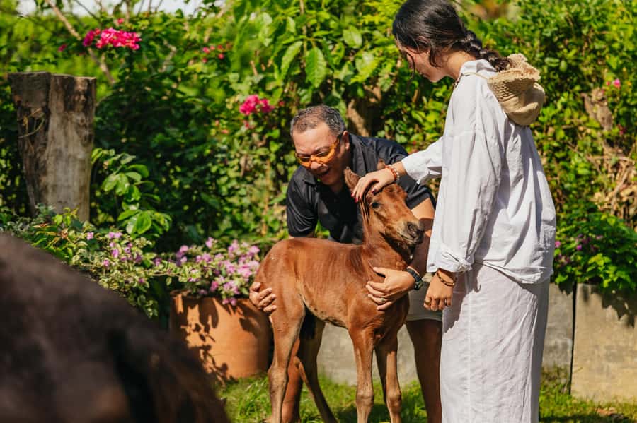 Cartagena: Beach Horse Ride and Colombian Equestrian Culture - From your Cartagena hotel to the ranch