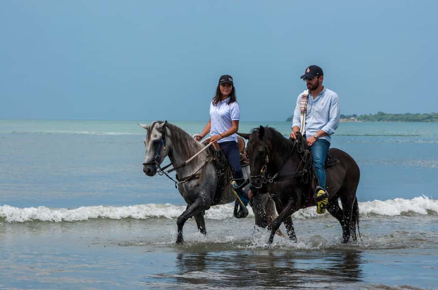 Cartagena: Beach Horse Ride and Colombian Equestrian Culture - Choosing the right horse for your ability