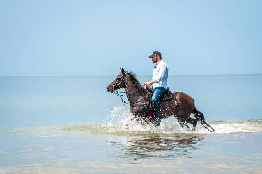 Cartagena: Beach Horse Ride and Colombian Equestrian Culture - Photos without carrying the camera
