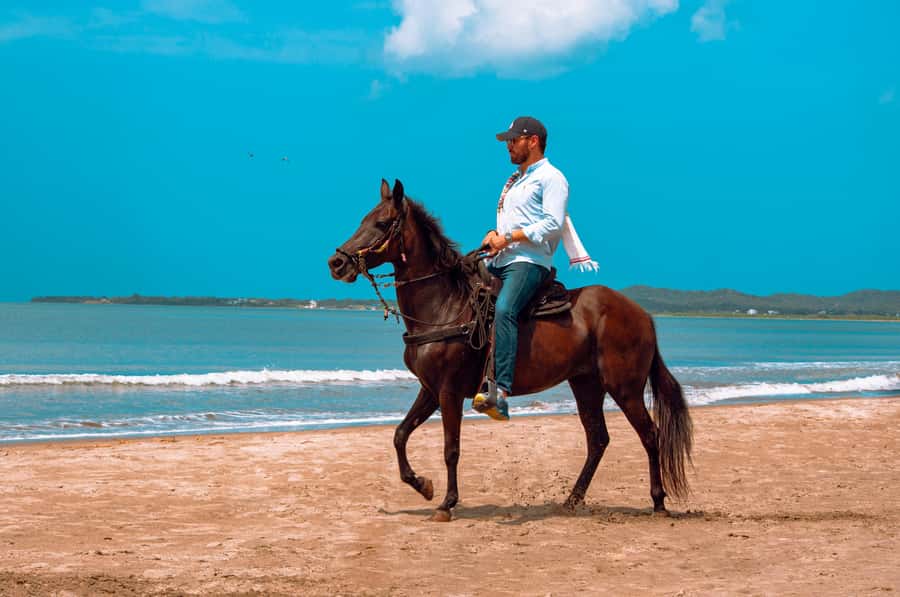 Cartagena: Beach Horse Ride and Colombian Equestrian Culture - The restaurant stop and what is not included