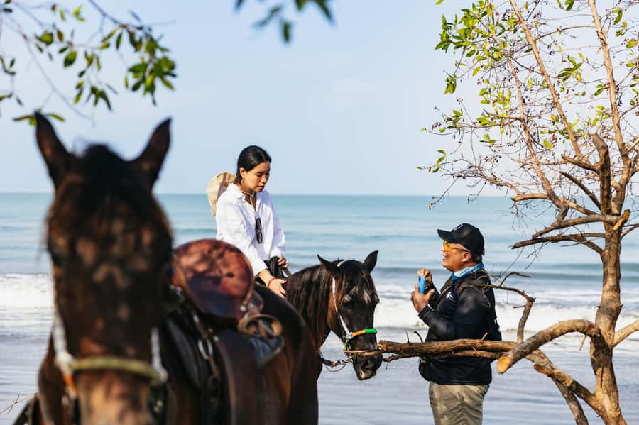 Cartagena: Beach Horse Ride and Colombian Equestrian Culture - Who will enjoy this experience most?