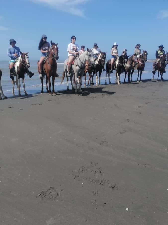 Cartagena: Horse Riding on the Beach with Photos and Lunch - Key points to know before booking