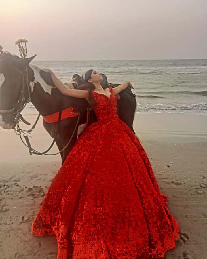Cartagena: Horse riding on the beaches of Cartagena & PHOTOS - Meeting the horses and settling into the saddle