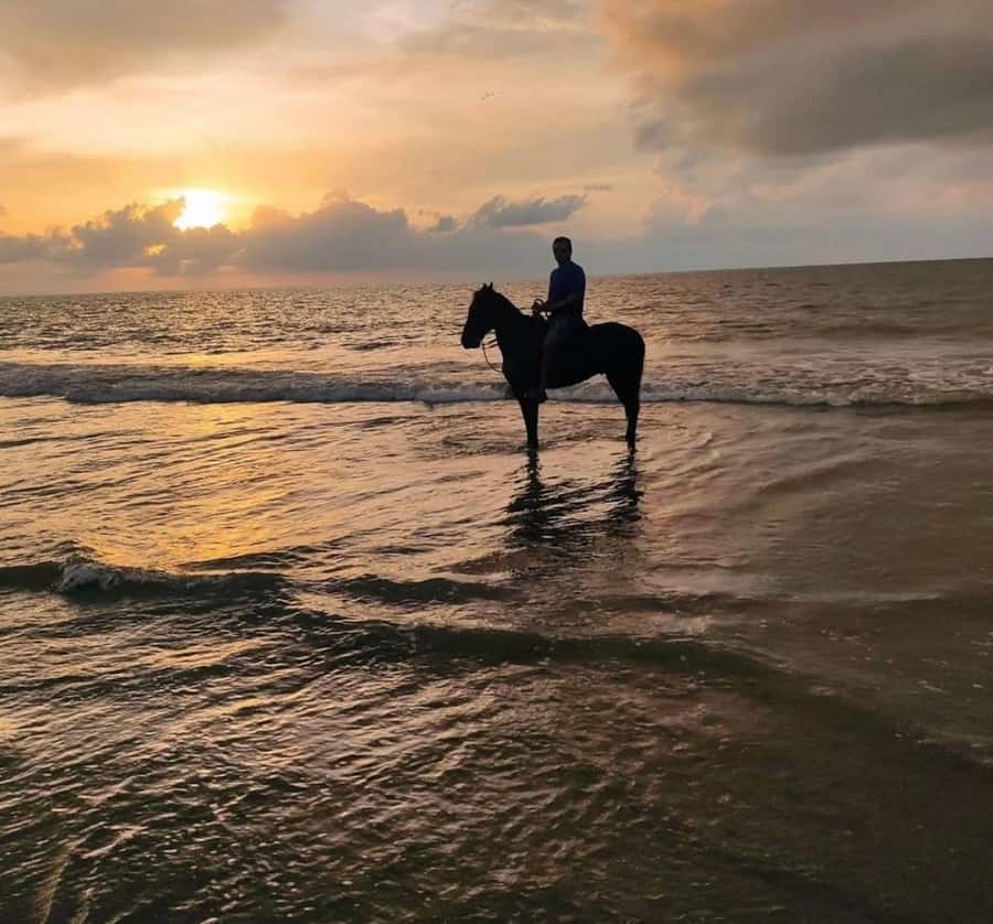 Cartagena: Horseback Ridding Excursion on the Beach - Key points to know before you book