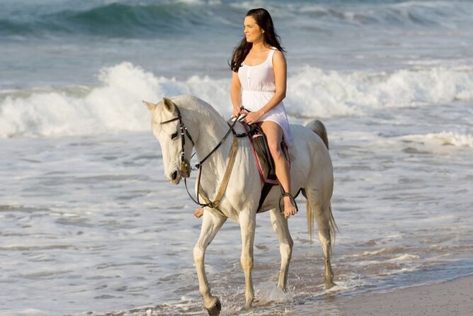 Cartagena: Horseback Riding at the Beach During Day or Sunset - Key Points to Know Before You Ride