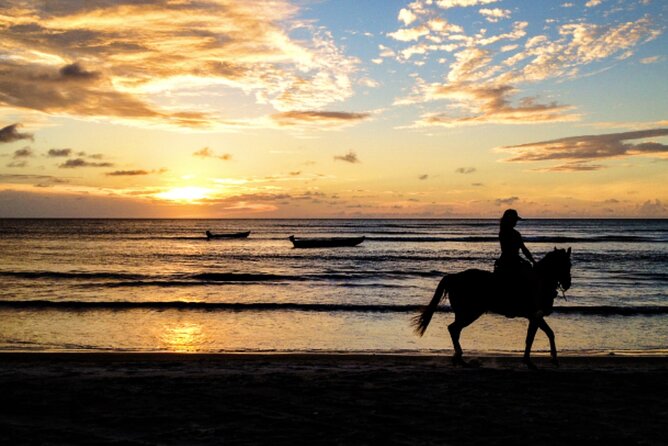 Cartagena: Horseback Riding at the Beach During Day or Sunset - What the First Few Minutes Feel Like