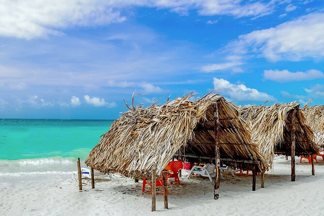 Cartagena: Horseback Riding at the Beach During Day or Sunset - Daylight or Sunset: Which Time Should You Choose?