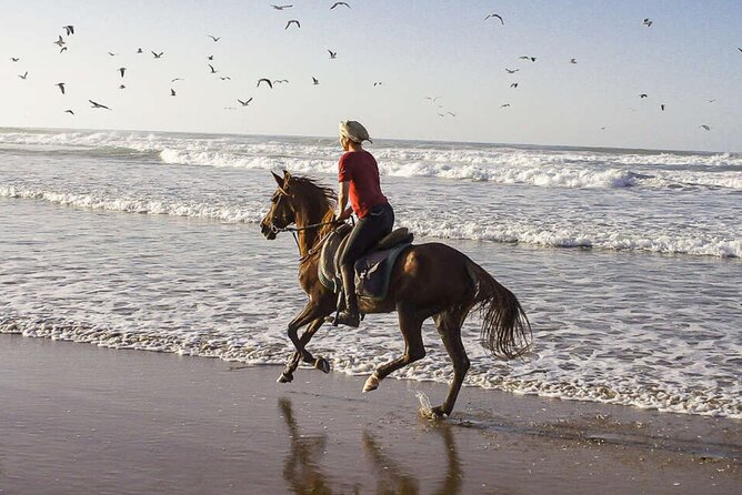 Cartagena: Horseback Riding at the Beach During Day or Sunset - Is $50 a Fair Price?