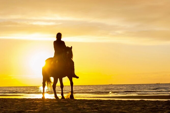 Cartagena: Horseback Riding at the Beach During Day or Sunset - Who Will Enjoy This Most?