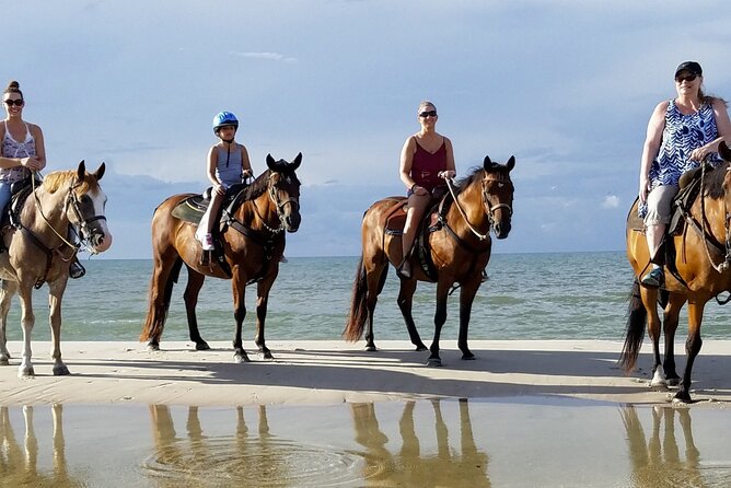 Cartagena: Horseback Riding at the Beach During Day or Sunset - José, Gabriel, and the Human Side of the Tour
