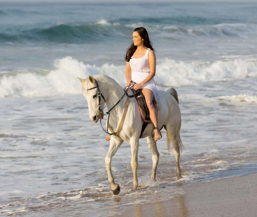 Cartagena: Horseback Riding on the Beach at Sunset - Key points to know before booking