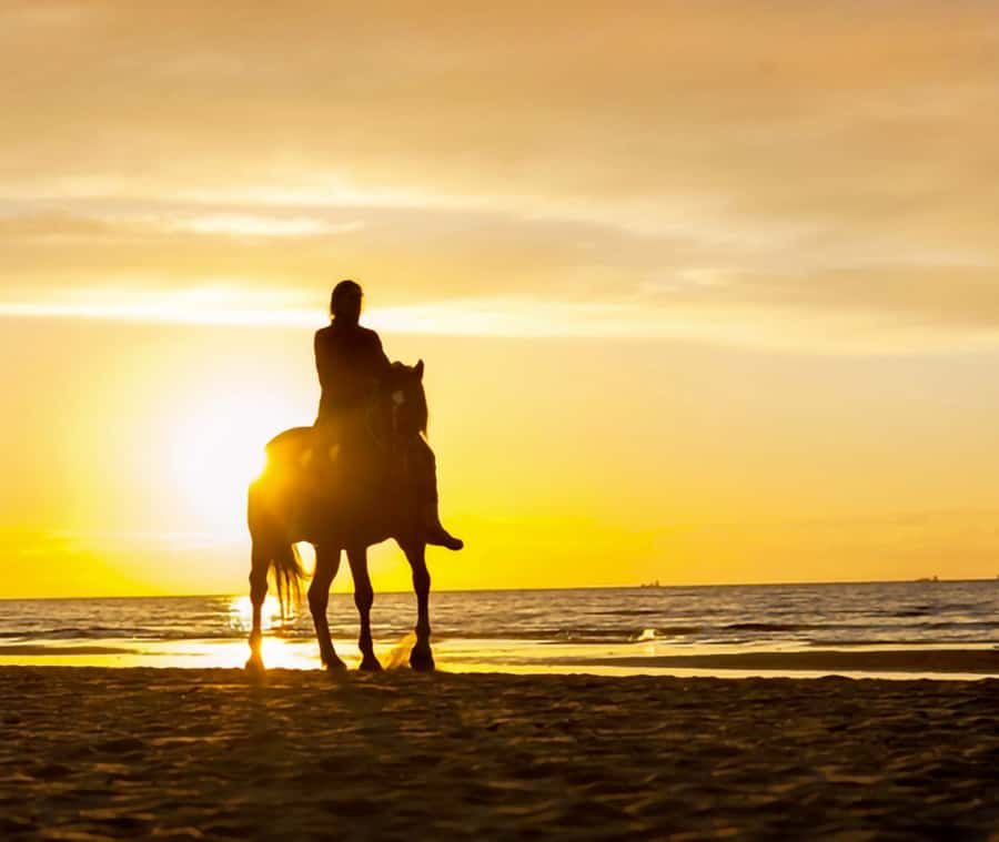 Cartagena: Horseback Riding on the Beach at Sunset - Meeting the horses and learning the basics