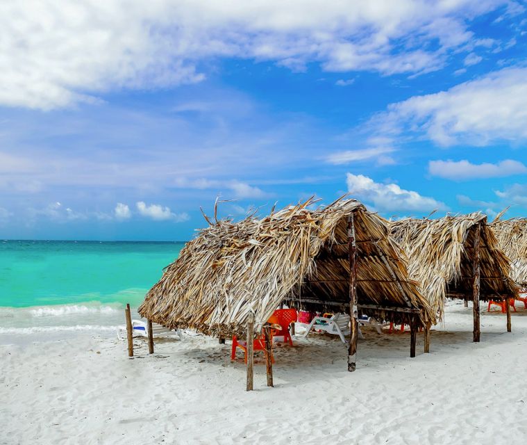 Cartagena: Horseback Riding on the Beach at Sunset - Who will enjoy this most