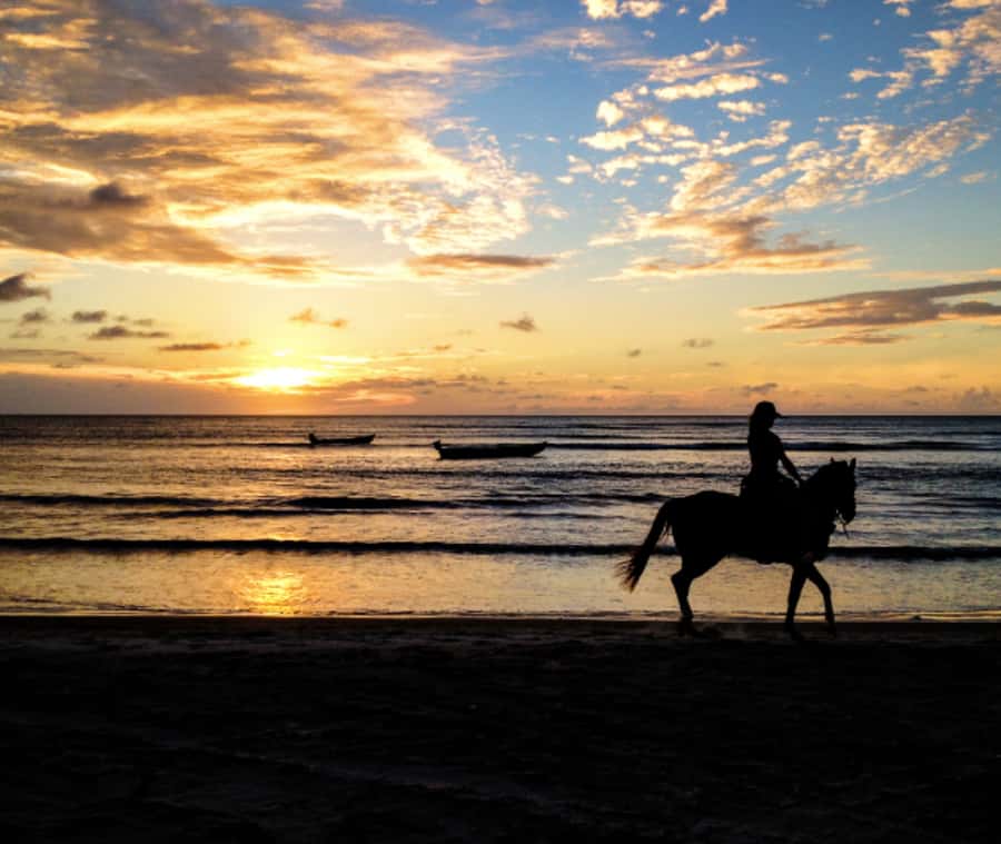 Cartagena: Horseback Riding on the Beach at Sunset - Simple preparation that will improve the ride