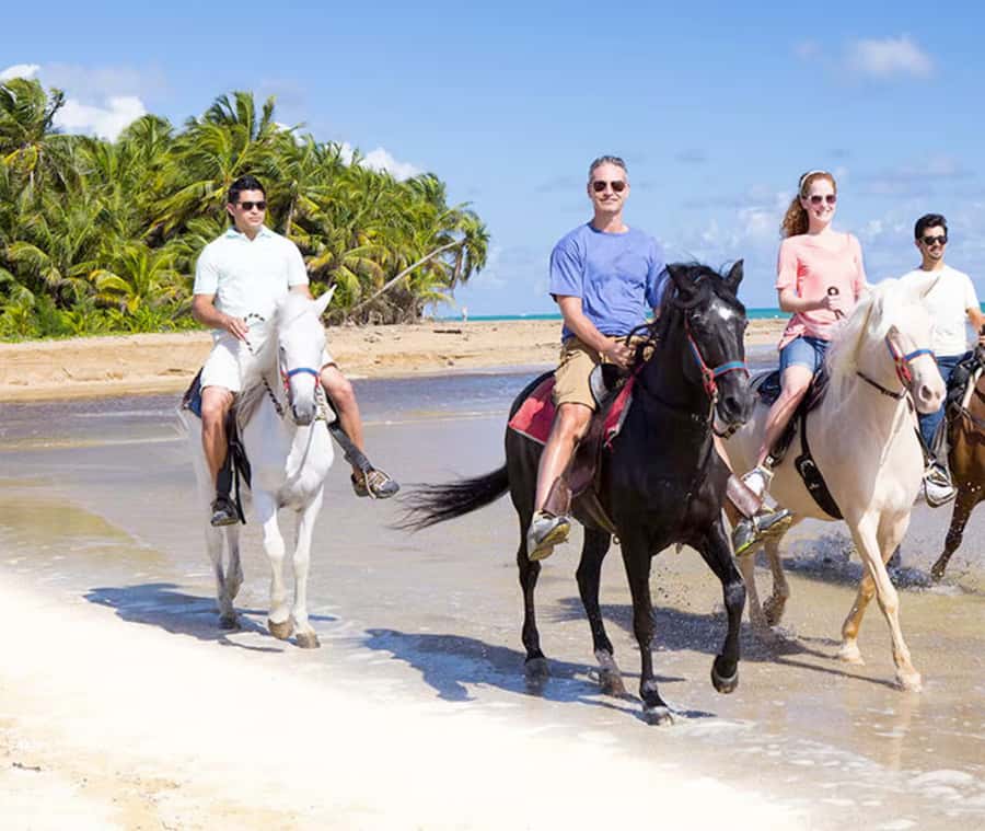 Cartagena: Horseback Riding on the Beach at Sunset - Arriving at Maria Palito without confusion