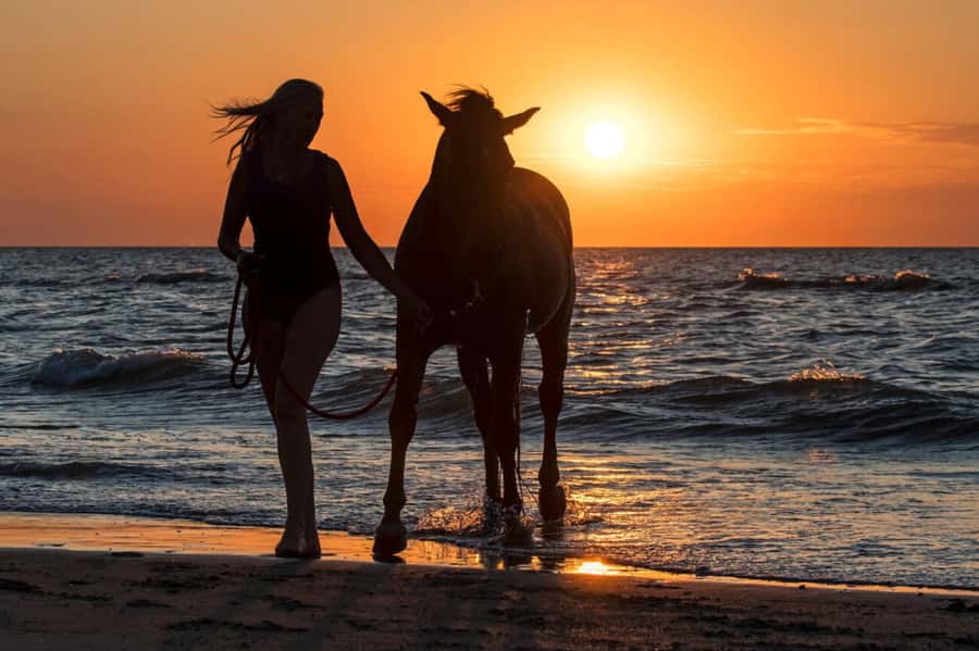 Casablanca: Beach Horseback Riding with Hotel Transfers - Key points to know before you book
