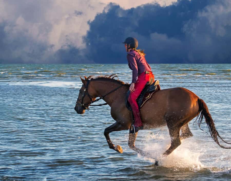 Casablanca: Beach Horseback Riding with Hotel Transfers - Who should book this Casablanca ride?