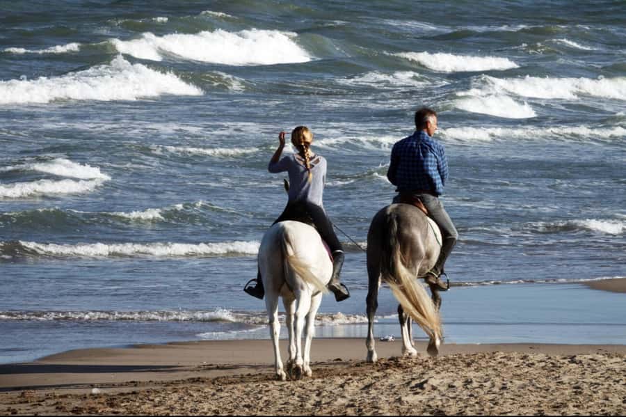 Casablanca: Beach Horseback Riding with Hotel Transfers - Why this ride makes sense in Casablanca
