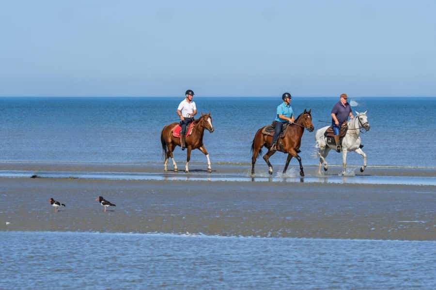 Casablanca: Beach Horseback Riding with Hotel Transfers - Arriving at the farm and choosing your route