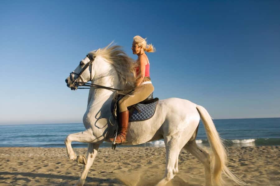 Casablanca: Beach Horseback Riding with Hotel Transfers - What the one-hour horseback ride feels like