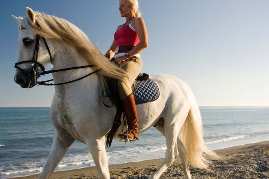 Casablanca: Beach Horseback Riding with Hotel Transfers - Guides, photos, and safety