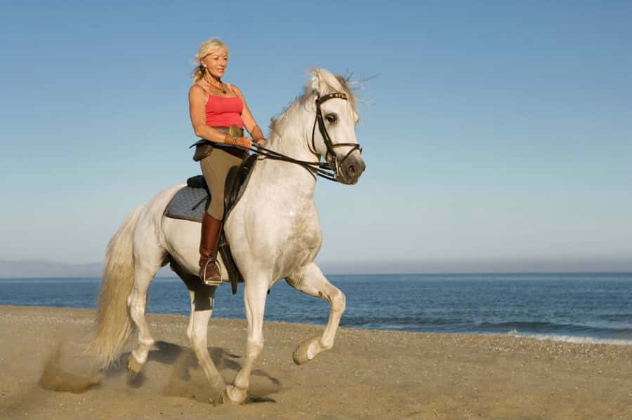Casablanca: Beach Horseback Riding with Hotel Transfers - Price, timing, and the real value
