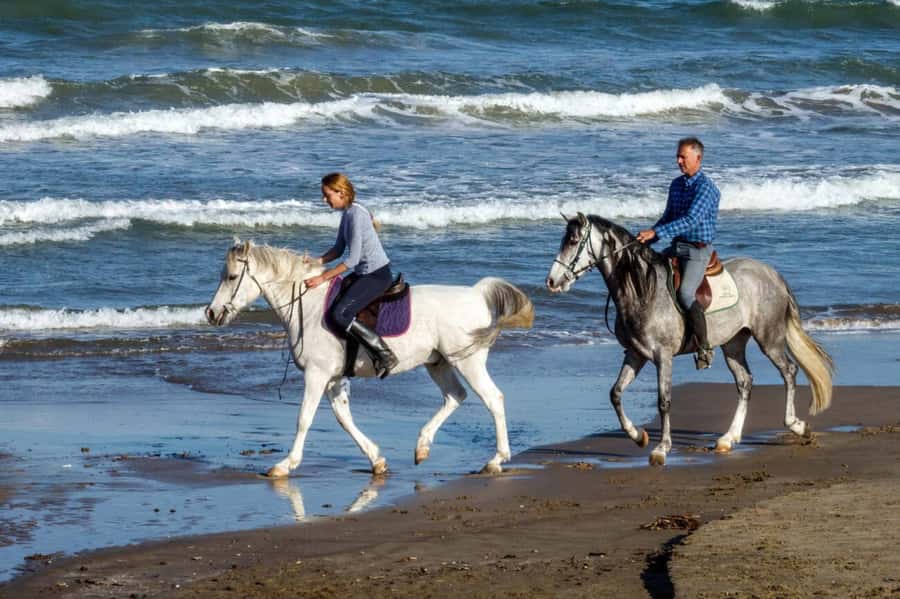 Casablanca: Beach Horseback Riding with Hotel Transfers - The drive from central Casablanca