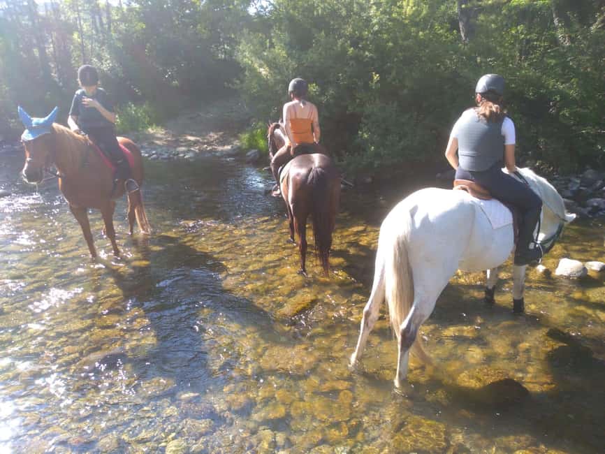 Casentino: Horseback Riding Tour with Verna Sanctuary View - Key points to know before riding