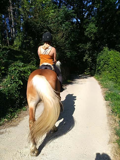 Casentino: Horseback Riding Tour with Verna Sanctuary View - Riding through the Verna Gorge