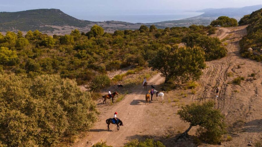 Castelsardo: horseback in Sedini - Why Sedini makes a good riding base