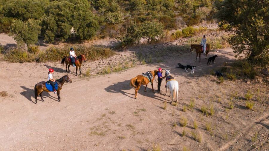 Castelsardo: horseback in Sedini - The seven-kilometer route through Anglona