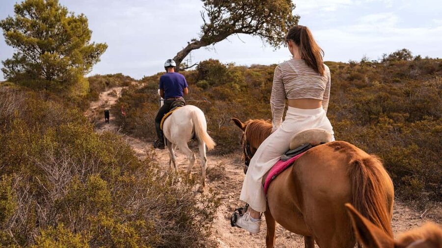 Castelsardo: horseback in Sedini - Language and communication with the guide
