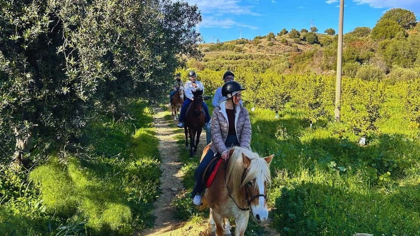 Catania: Guided Horseback Ride in Misterbianco Countryside - The first ten minutes: briefing, helmet, and horse