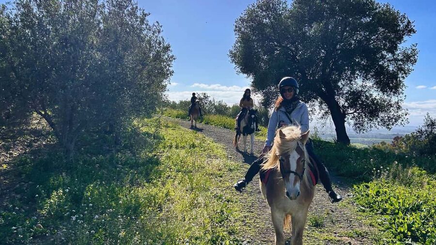 Catania: Guided Horseback Ride in Misterbianco Countryside - Cancellation and timing advice