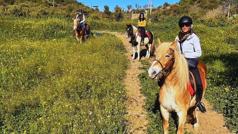 Catania: Guided Horseback Ride in Misterbianco Countryside - Arriving at the stable outside Catania