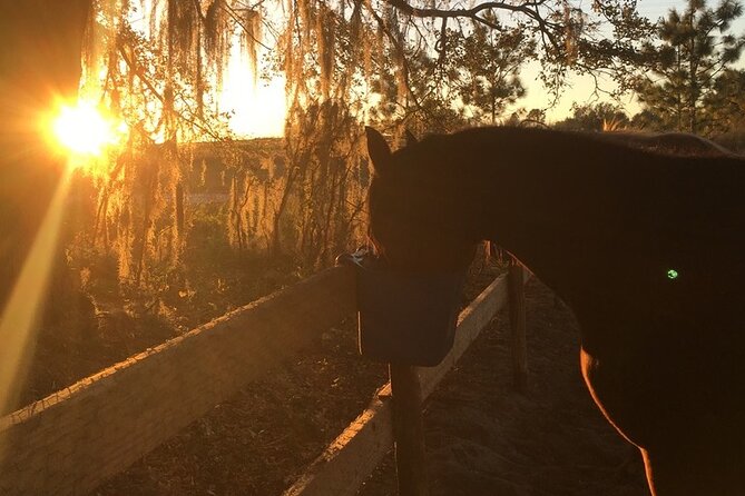 Champagne and Charcuterie Sunset Trail Ride - Why Lake Louisa makes a good riding setting