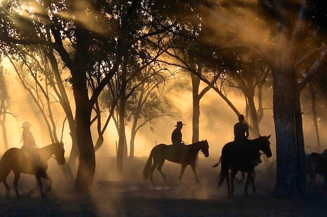 Champagne and Charcuterie Sunset Trail Ride - Who will enjoy this outing most?